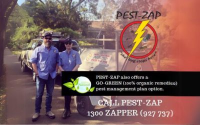 5 Ways to Keep Your Home Free of Summer Pests