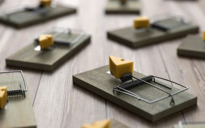 How to get rid of mice using mousetraps