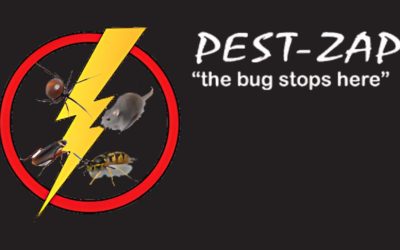 Bug Banter – Episode 1