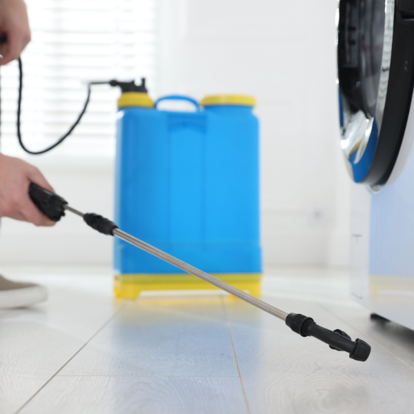 Pest inspection for rodents in Melbourne garage