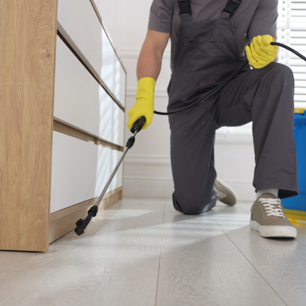 Pest control Melbourne Eastern Suburbs