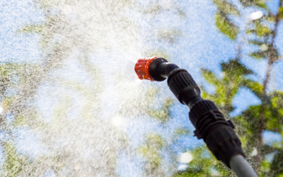 Spring Pest Control Melbourne: Prepare Your Home for Summer Pests