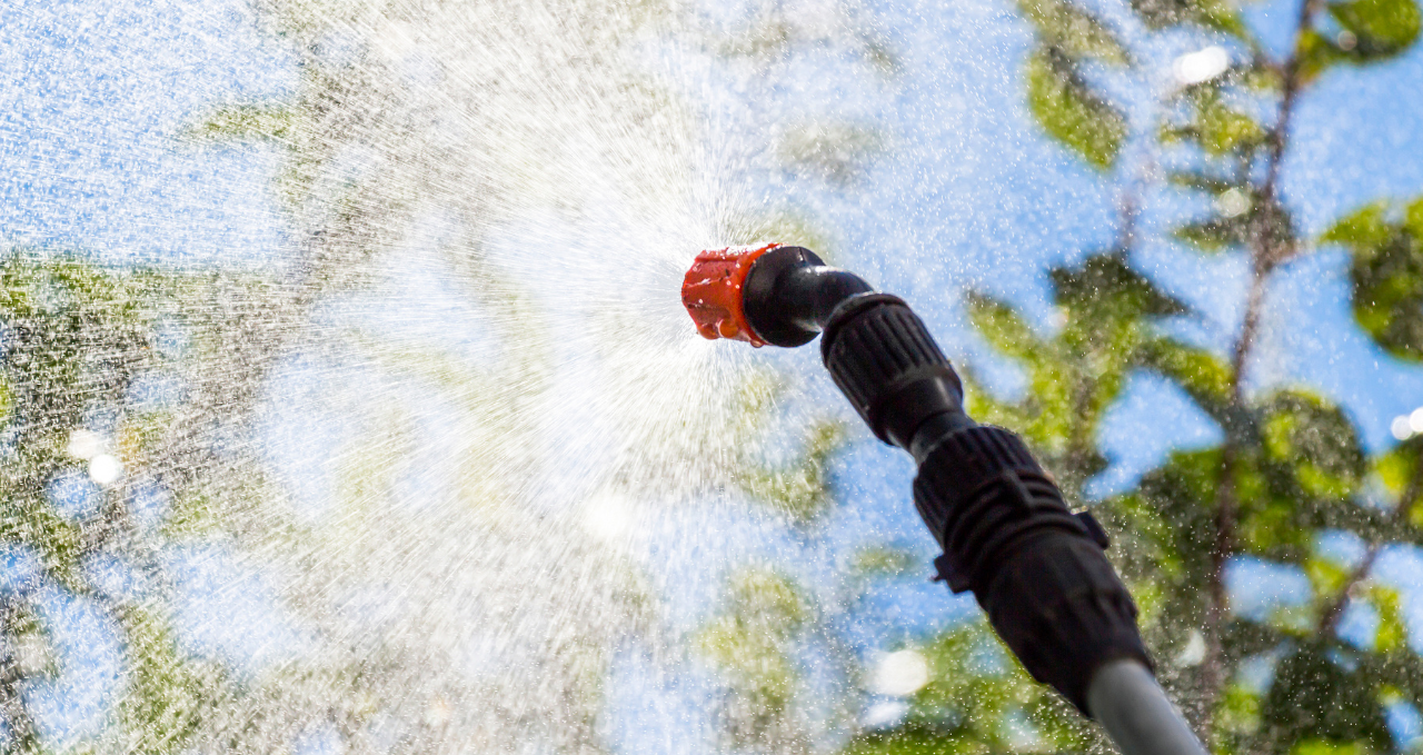 Why Pest Problems Keep Returning in Melbourne Homes